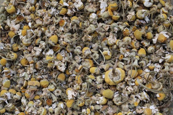 Chamomile