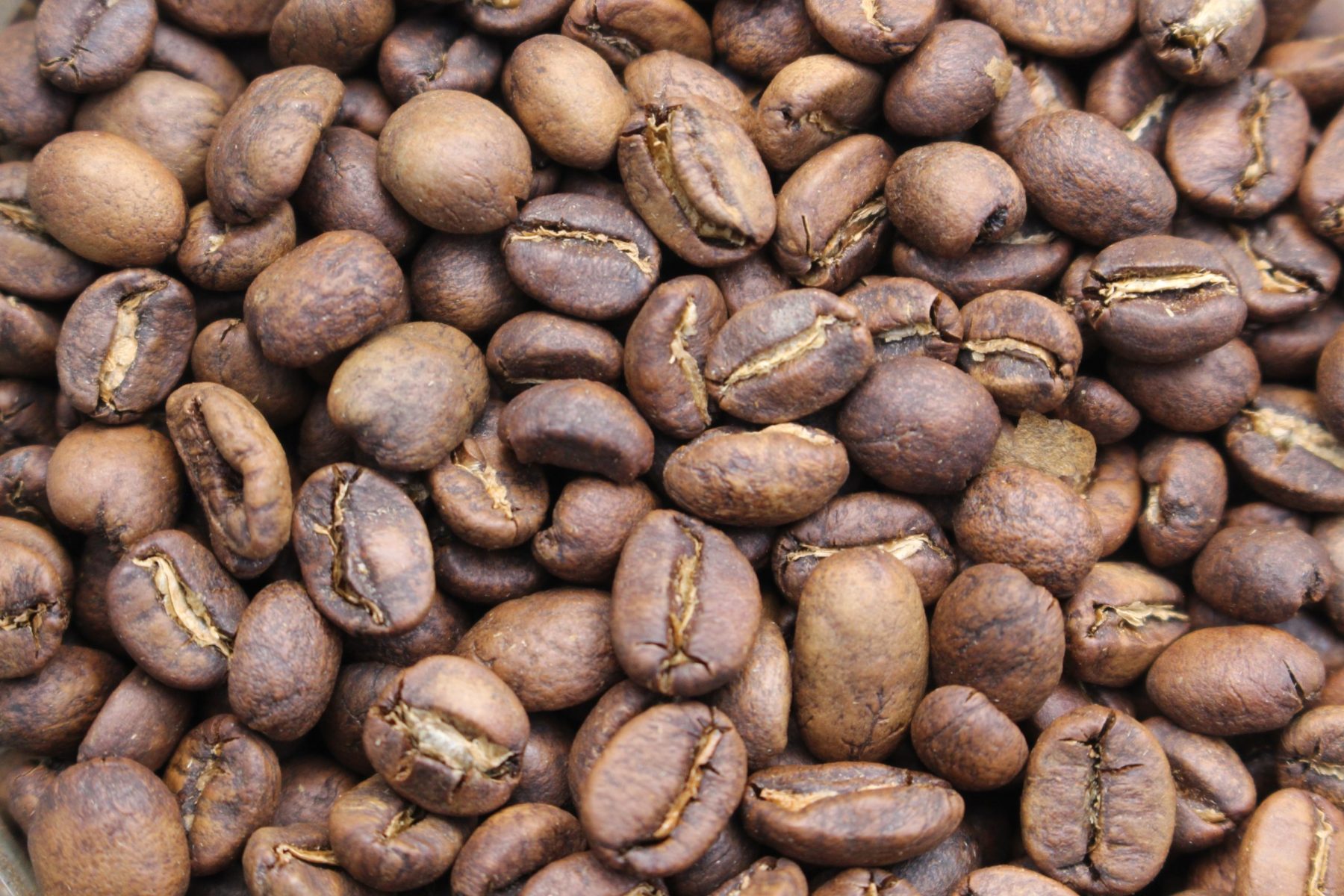 Monsooned Malabar Ground Coffee